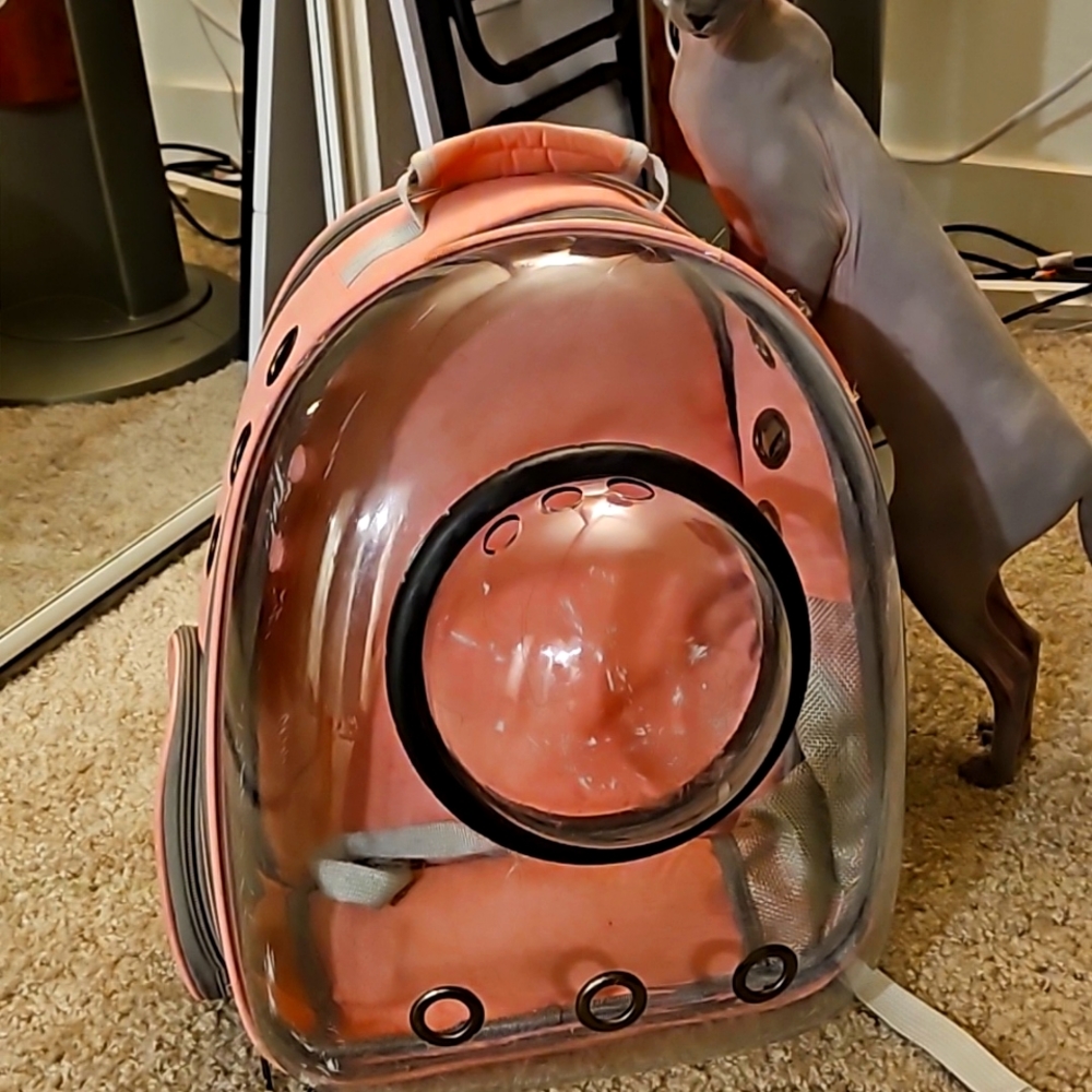 Cat Carrier